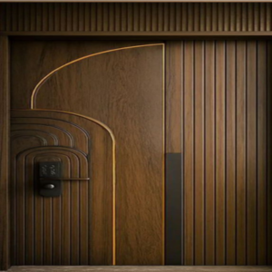 Modern Wooden Door